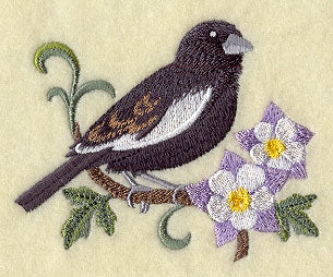 Colorado Lark Bunting and Columbine Medley