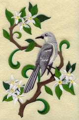 Florida Mockingbird and Orange Blossom Medley