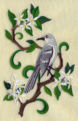 Florida Mockingbird and Orange Blossom Medley