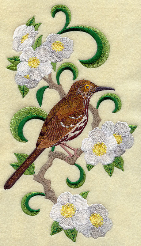 Georgia Brown Thrasher and Cherokee Rose Medley