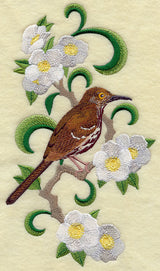 Georgia Brown Thrasher and Cherokee Rose Medley