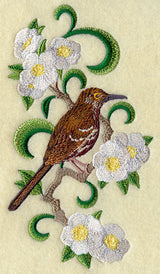 Georgia Brown Thrasher and Cherokee Rose Medley