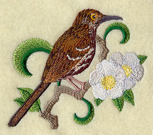 Georgia Brown Thrasher and Cherokee Rose Medley