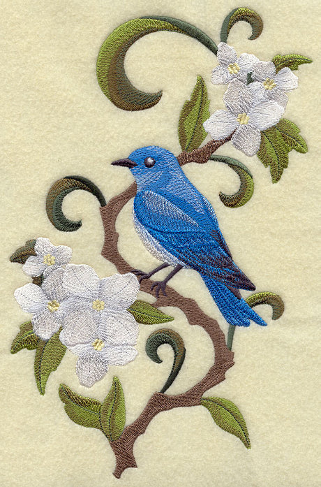 Idaho Mountain Bluebird and Syringa Medley