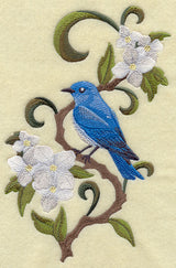 Idaho Mountain Bluebird and Syringa Medley