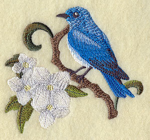 Idaho Mountain Bluebird and Syringa Medley
