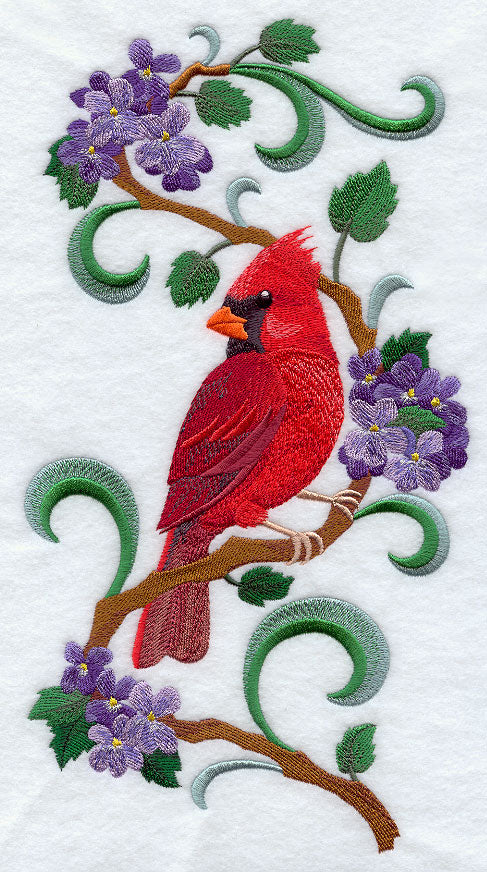 Illinois Cardinal and Violet Medley