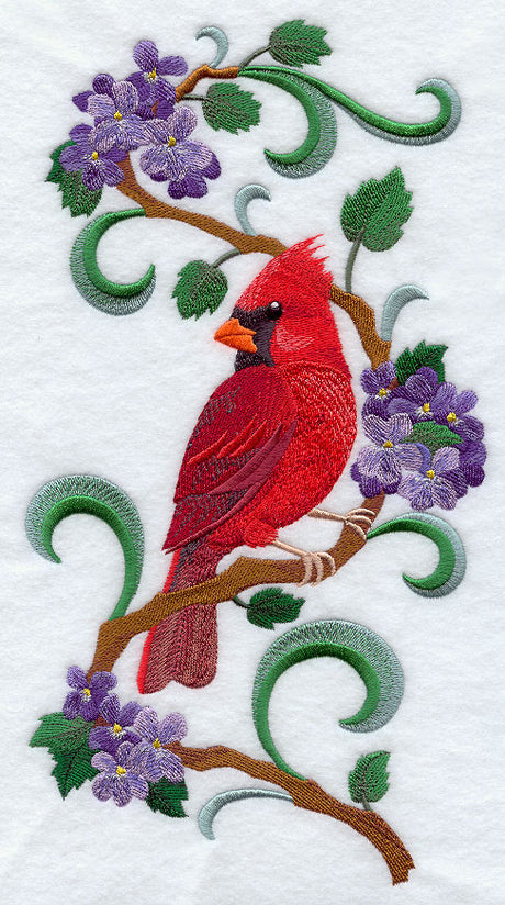 Illinois Cardinal and Violet Medley