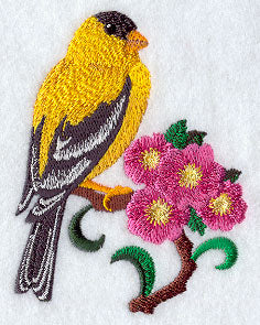 Iowa Eastern Goldfinch and Wild Rose Medley