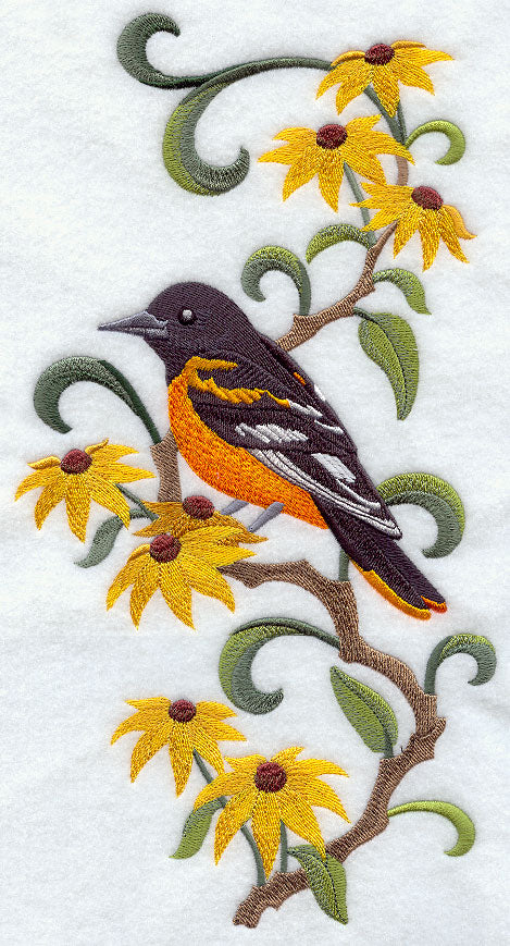 Maryland Baltimore Oriole and Black-Eyed Susan Medley
