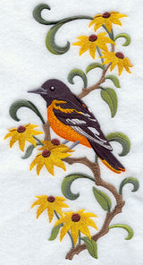 Maryland Baltimore Oriole and Black-Eyed Susan Medley