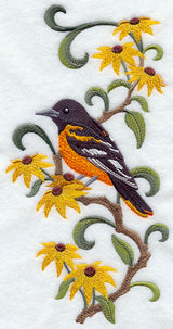 Maryland Baltimore Oriole and Black-Eyed Susan Medley