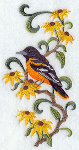Maryland Baltimore Oriole and Black-Eyed Susan Medley