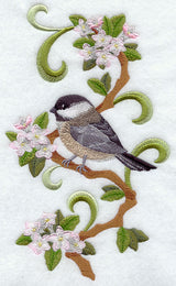 Massachusetts Chickadee and Mayflower Medley