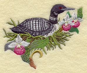 Minnesota Common Loon and Showy Lady Slipper Medley