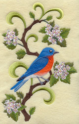 Missouri Eastern Bluebird and Hawthorn Medley