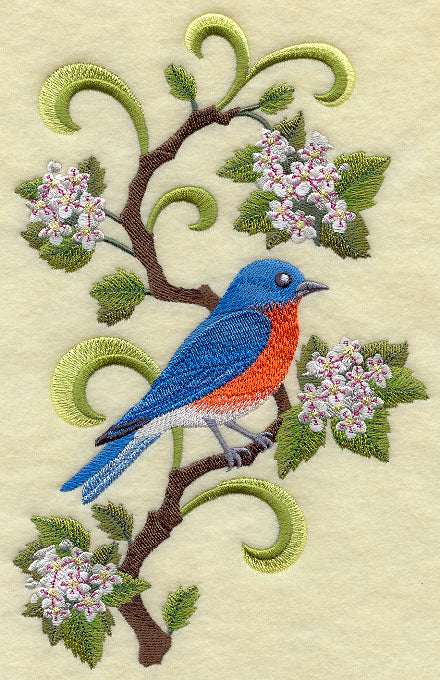 Missouri Eastern Bluebird and Hawthorn Medley