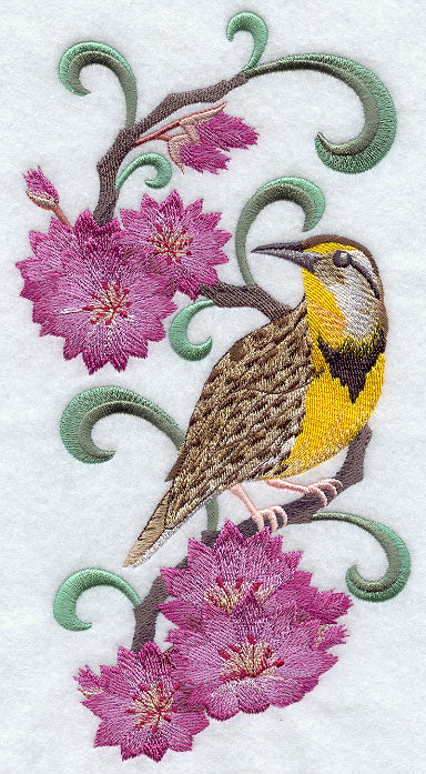 Montana Western Meadowlark and Bitterroot Medley