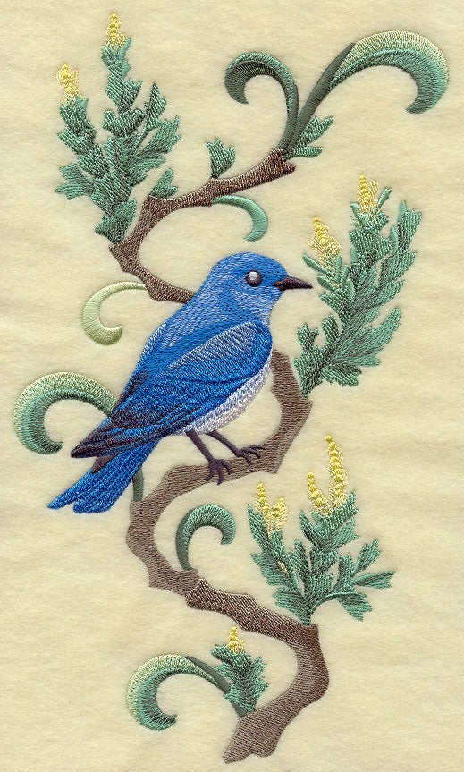 Nevada Mountain Bluebird and Sagebrush Medley