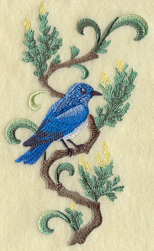 Nevada Mountain Bluebird and Sagebrush Medley