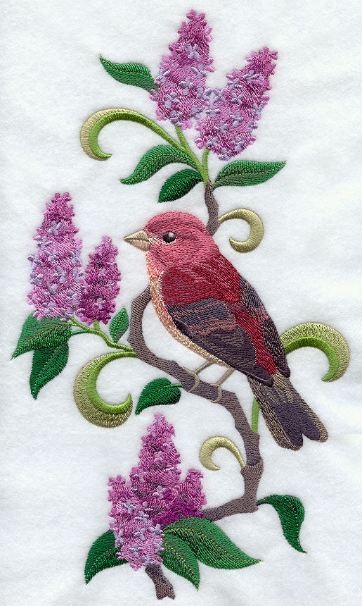 New Hampshire Purple Finch and Purple Lilac Medley