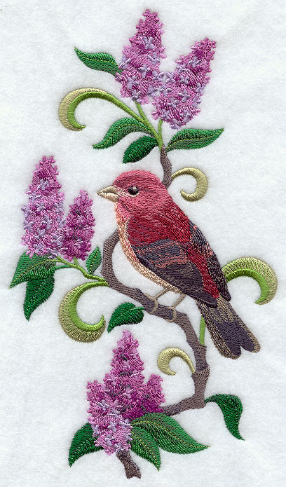 New Hampshire Purple Finch and Purple Lilac Medley