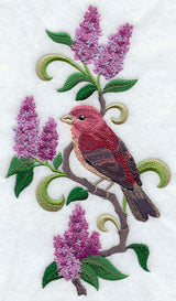 New Hampshire Purple Finch and Purple Lilac Medley