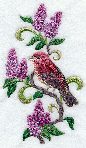 New Hampshire Purple Finch and Purple Lilac Medley