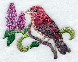 New Hampshire Purple Finch and Purple Lilac Medley