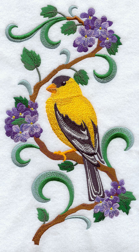 New Jersey Eastern Goldfinch and Purple Violet Medley