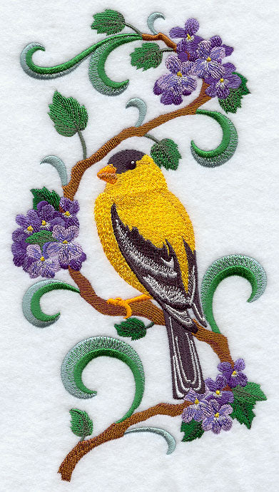 New Jersey Eastern Goldfinch and Purple Violet Medley