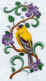New Jersey Eastern Goldfinch and Purple Violet Medley