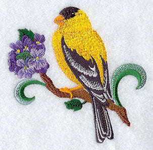 New Jersey Eastern Goldfinch and Purple Violet Medley