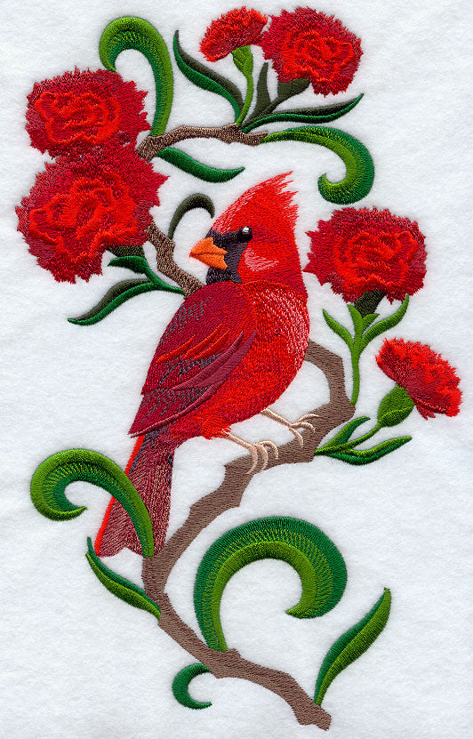 Ohio Cardinal and Scarlet Carnation Medley