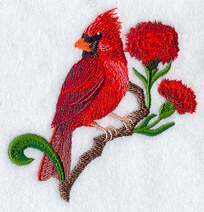 Ohio Cardinal and Scarlet Carnation Medley