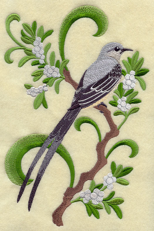 Oklahoma Scissor-Tailed Flycatcher and Mistletoe Medley