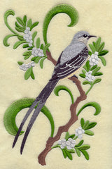 Oklahoma Scissor-Tailed Flycatcher and Mistletoe Medley