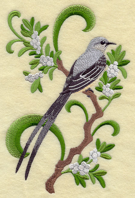 Oklahoma Scissor-Tailed Flycatcher and Mistletoe Medley