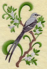 Oklahoma Scissor-Tailed Flycatcher and Mistletoe Medley