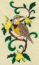 Oregon Western Meadowlark and Oregon Grape Medley