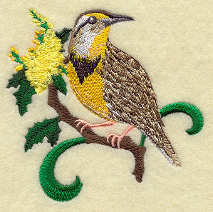 Oregon Western Meadowlark and Oregon Grape Medley