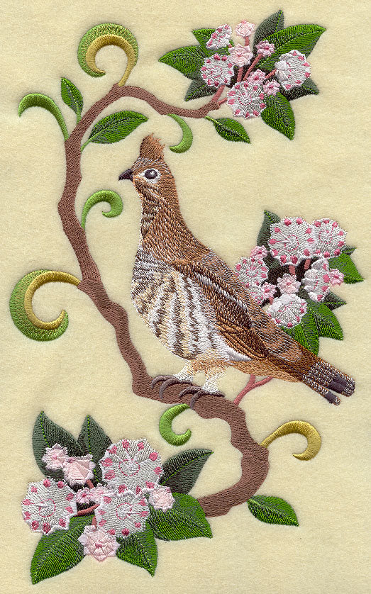 Pennsylvania Ruffed Grouse and Mountain Laurel Medley