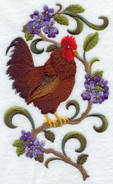 Rhode Island Rhode Island Red and Violet Medley