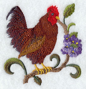 Rhode Island Rhode Island Red and Violet Medley