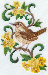 South Carolina Great Carolina Wren and Jessamine Medley
