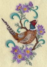 South Dakota Ring-Necked Pheasant and Pasqueflower Medley