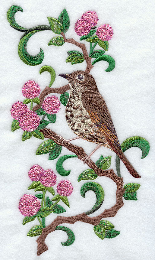 Vermont Hermit Thrush and Red Clover Medley