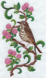 Vermont Hermit Thrush and Red Clover Medley