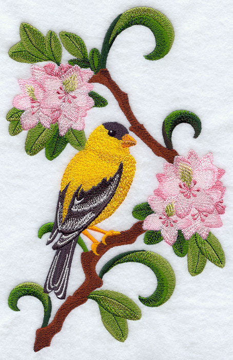 Washington Willow Goldfinch and Rhododendron Medley