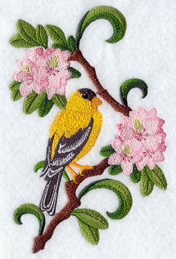 Washington Willow Goldfinch and Rhododendron Medley